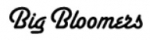 Logo for The Big Bloomers Company