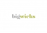 Logo for Bigwicks