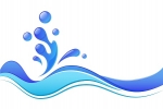 Logo for Lapwater Aquatics Ltd