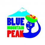 Logo for Blue Mountain Peak