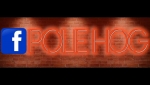 Logo for POLEHOG LTD